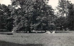 Schlosspark in Gaußig : Park Husčanskeho hroda