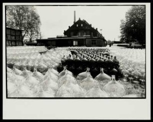 Blick auf ein Industriegelände mit gestapelten Ballonflaschen, vermutlich Gelsdorfhütte Weißwasser in der sächsischen Oberlausitz