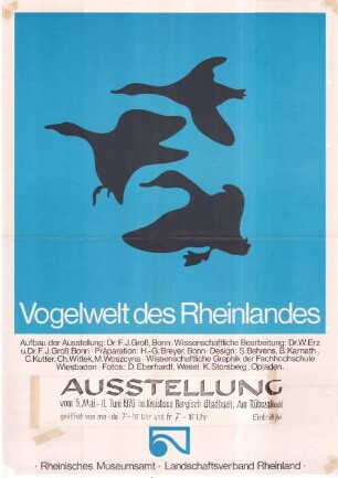 Vogelwelt des Rheinlandes