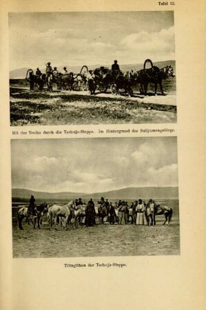 Tafel 12. Mit der Troika durch die Tschuja-Steppe. Im Hintergrund das Sailjumengebirge. Tilingithen der Tschuja-Steppe