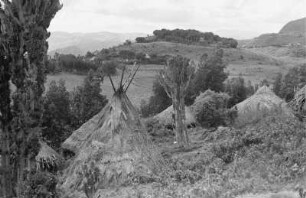 Dorf bei Dessie : Blick auf Hütten in einer Landschaft