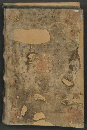 Postilla super Lucam - BSB Clm 7432(2