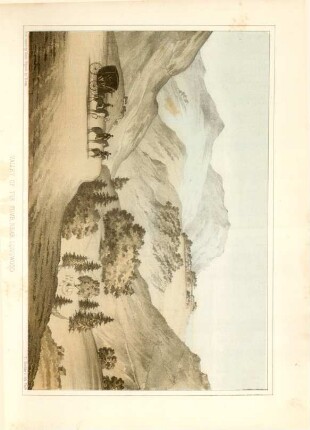 Valley of the Tomb, near Longwood