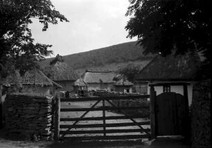 Nepotrowo Poarta Neagra: Gehöft und Tor