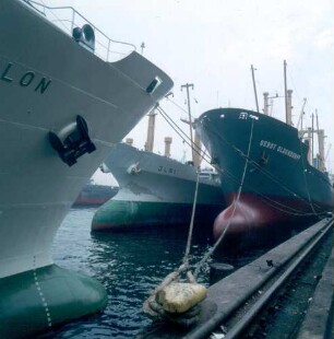 Hamburg-Steinwerder, Hermann-Blohm-Straße 2. Schiffswerft Blohm + Voss. Angedockte Schiffe in der Werft