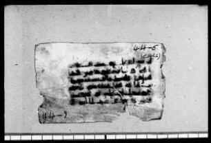 al- Qurʾān [DAM 6-8.7]