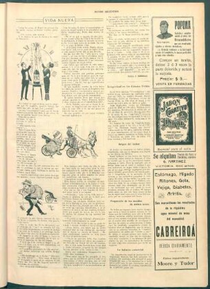 Origen del ámbar