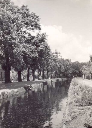 Wallgraben und Wall mit Kastanien. Detmold