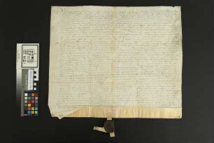 Guntersblum: Teilungsbrief von Gütern des Hans v. Albich zu Guntersblum