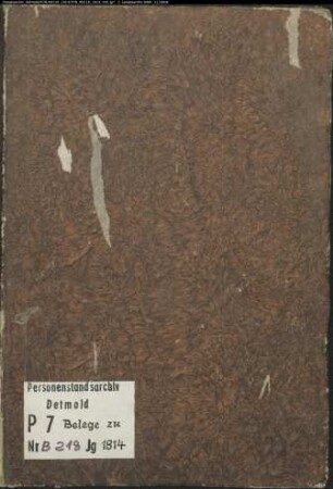 Belegakten zum Heiratsregister der Munizipalität Neuwarendorf (B 1813,1814)