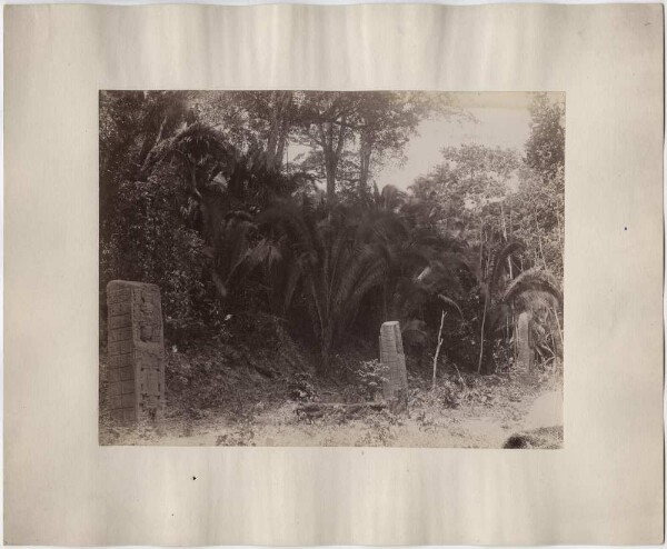 Stele 1 (A), 2 (C), 3 (D). View to the east.