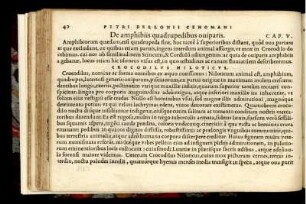 De amphibiis quadrupedibus oviparis. Cap. V.
