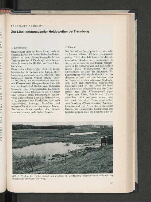 Zur Libellenfauna zweier Heideweiher bei Flensburg
