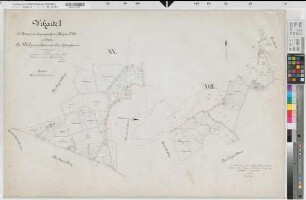 Seppenrade (Lüdinghausen), Zusammenlegung Tetekum, Urkarte I Seppenrade Flur 20; 22