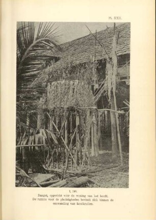 Pl. XXII. I, 190. Dangei, opgericht vóór de woning van het hoofd ...