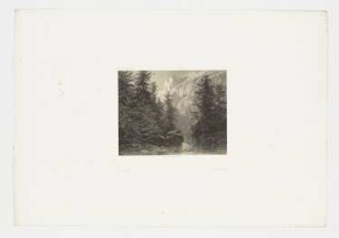 Berglandschaft mit See und Tannen, Blatt 64 der Folge "Werke"
