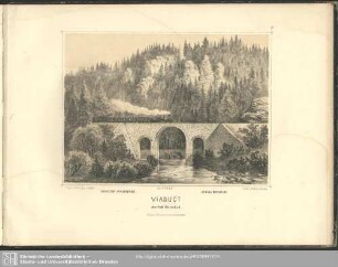 Viaduct oberhalb Wiesenbad