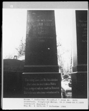 Grabstein von Siegfried Melas (gestorben 1895.07.25)