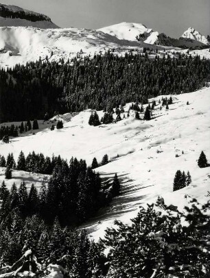 Graubündener Landschaft bei Alp Foppa
