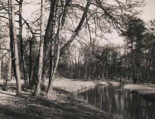 Berlin-Niederschönhausen. Schlosspark des 1680 errichteten Barockschlosses Schönhausen an der Panke im Vorfrühling