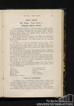 Achtes Kapitel. Die Feige. Ficus Carica L.