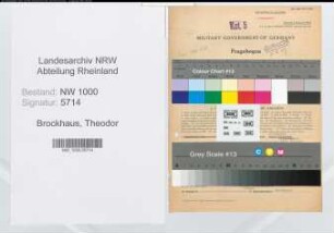 Entnazifizierung Theodor Brockhaus, geb. 19.09.1907 (Verwaltungsangestellter)