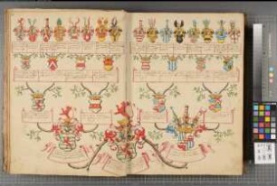 Proband: Heyden gen. Belderbusch, Clemens Vinzenz Franz Johann Elisabeth Nikolaus von der; Vater: Heyden gen. Belderbusch, Maximilian Wilhelm von der; Mutter: Satzenhofen, Johanna Gräfin von: Paderborn, Domkapitel