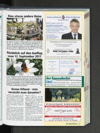 Graue Erbsen - was versteht man darunter?