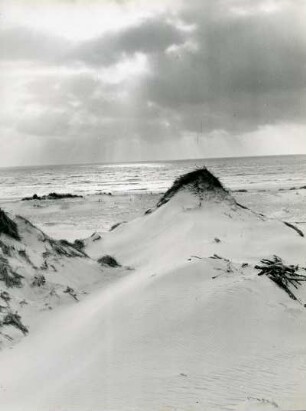 Jütland. Strand mit Dünen bei Skagen