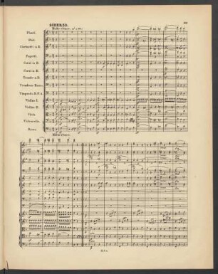 Scherzo. Molto vivace