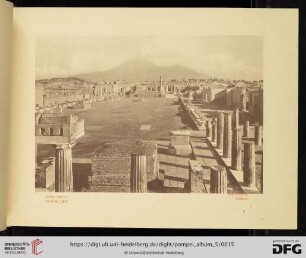 Foro Civile - Forum Civil - The Forum - Forum
