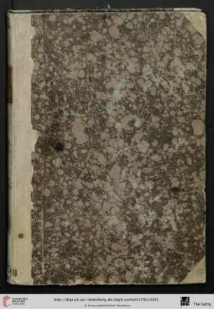 Vita inedita di Raffaello da Urbino
