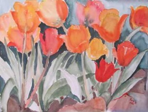 Tulpen 1