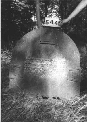 Grabstein 544