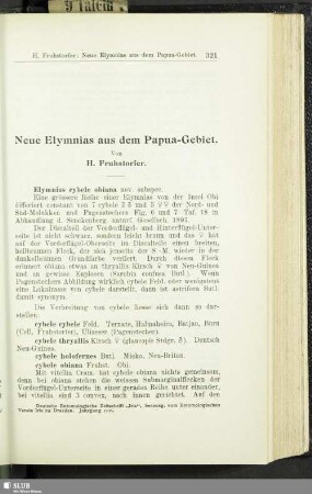 Neue Elymnias aus dem Papua-Gebiet
