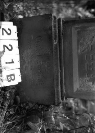 Grabstein 221 (Index: 100095869) Maße HxBxT: 118x52x20 cm Symbolik: Rosenzweig: Grabstein 221B