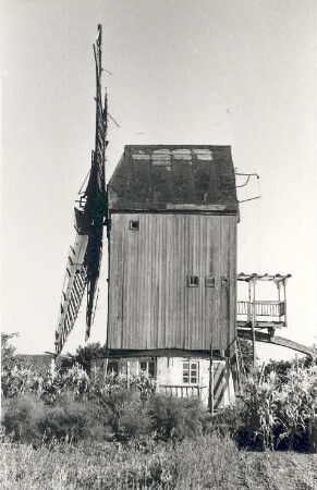 Groß Rodensleben. Bockmühle