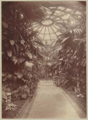 Palmenhaus.