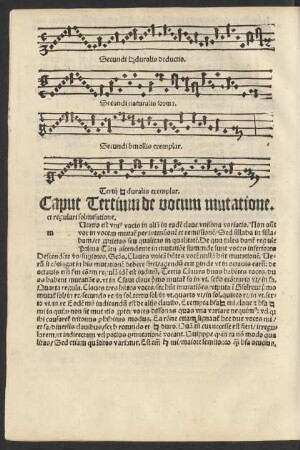 Caput Tertium de vocum mutatione ...
