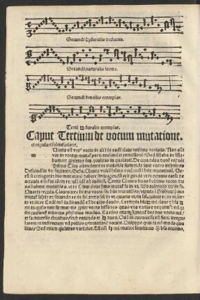 Caput Tertium de vocum mutatione ...