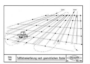 Teilflächenkartierung nach geometrischem Raster