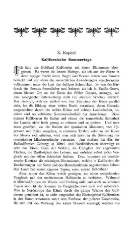 X. Kapitel. Kalifornische Sommertage