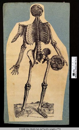 Anatomie des Menschen.