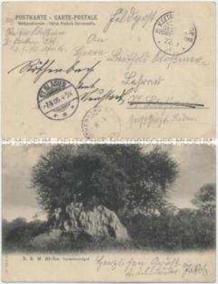 Termitenhügel in Deutsch-Südwestafrika