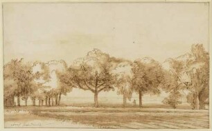 Landschaft mit einer Baumallee
