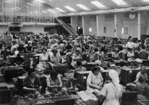 Verlesen der Tabakblätter mit der Hand, Griechenland, aus der Serie 'Die Welt des Tabaks'