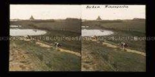 Wiese mit Kühen hinter den Dünen, Borkum
