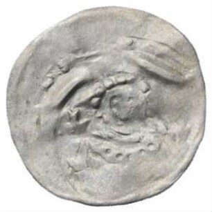 Fundmünze, Pfennig, Denar, 1242 - 1257