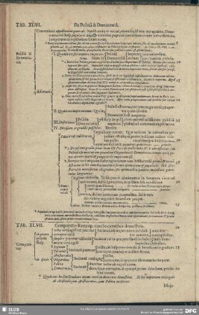 Tab. XLVII. Comparatio Rerump. cum Societatibus domesticis