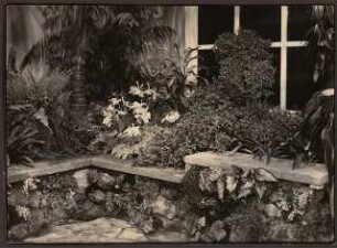 Fotoalbum: Deutsche Gartenbau- und Schlesische Gewerbe-Ausstellung (GUGALI), Liegnitz: Gewerbeausstellung, Innenansicht Ausstellungsgebäude: Detail Farne